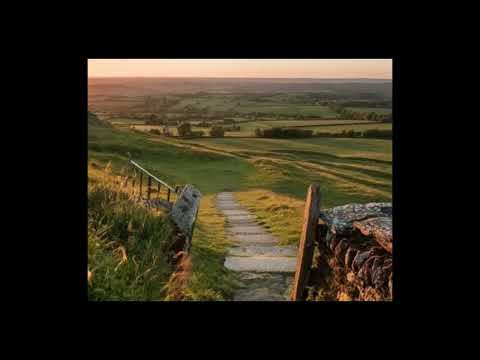 The Lofi to your village