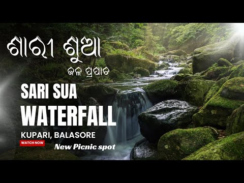 Sarisua Waterfall Kupari Balasore ! A New Tourist Attraction ! Picnic Spot