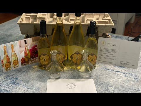 Shark Tank’s Bee D’Vine Honey Wine - Is it GOOD!!?!?!? Unboxing, Tasting, & REVIEW!!!