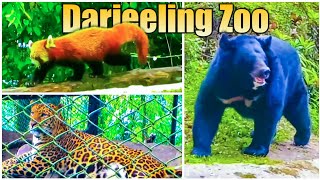 Darjeeling Zoo | Darjeeling Tourist Places | Zoological Park | Bear, Red Panda