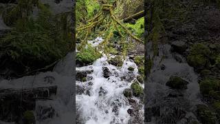 The Power of Nature:Mesmerizing Waterfall Moments 🌊 #WaterfallVibes  #NatureTherapy #RelaxingNature