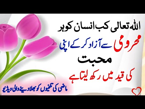 Allah ki madad kaise ati hai | Allah ki muhabbat | du quotes in urdu