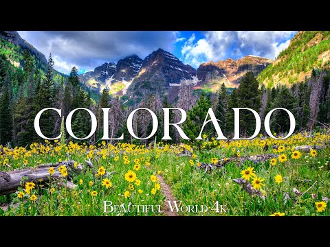 Colorado 4K - Springtime Bliss with Wildflowers and Majestic Mountains - 4K UHD