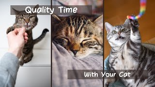 Fun Ways to Spend Quality Time with Your Cat #Shorts