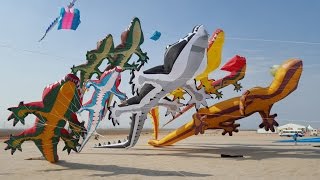 Al Farsi International Kite Festival 2016. Kuwait