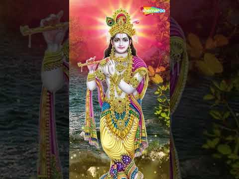 Lord Vishnu bhajan | अब सौंप दिया इस जीवन का सब भार तुम्हारे हाथों में | भावपूर्ण श्री हरि भजन (HD)