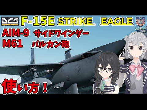 【DCS解説】F-15E 近接兵装＆レーダーモードの使い方！