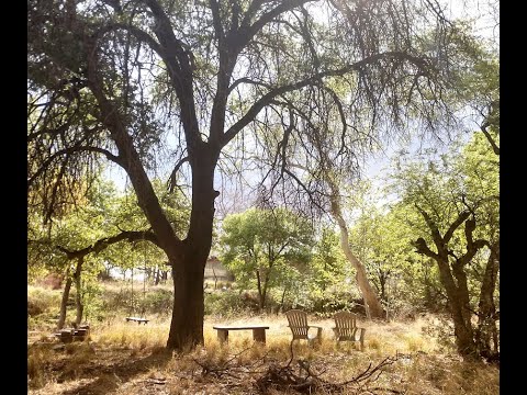 Chiricahua Mountain water tank in south east Arizona, along the creek. Lions, Bears & more.