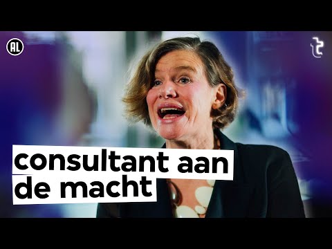 Hoe de consultant-industrie de overheid dom maakt | VPRO Tegenlicht