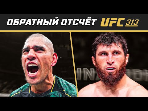 UFC 313 Обратный отсчет - Перейра vs Анкалаев