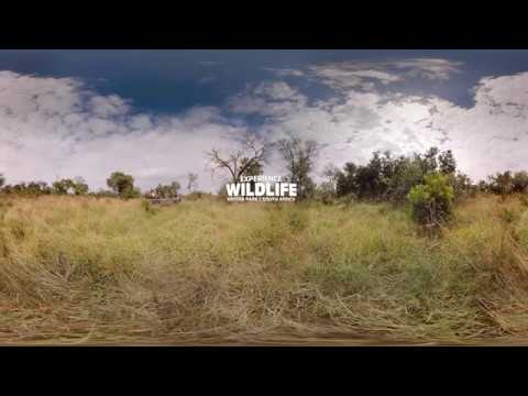 360 Degrees of Kruger National Park