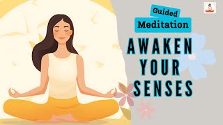 Awaken Your Senses 10 Minute Mindfulness Meditation | Daily Meditation