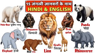 15 जंगली जानवरों के नाम🐯🦁हिंदी और इंग्लिश में |15 Wild Animals 🐘Name In Hindi & English | Meow TV