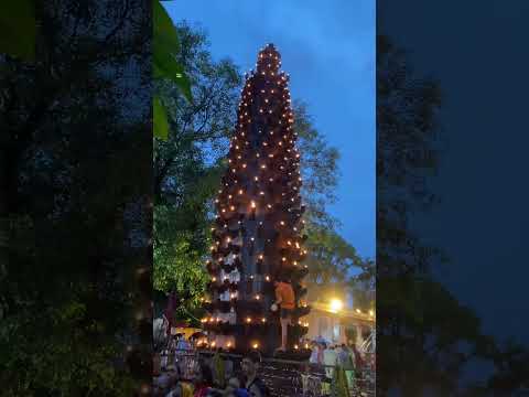 Mahakal jyotirling bhasma aarti #bhasmaaarti #shiv #kedarnath #mahakal #mahakaleshwar #shorts