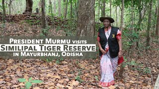 President Droupadi Murmu visits Similipal Tiger Reserve in Mayurbhanj, Odisha