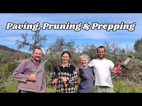 Block Paved Driveways, Pruning Olives and Shredding waste for re-cycling  193