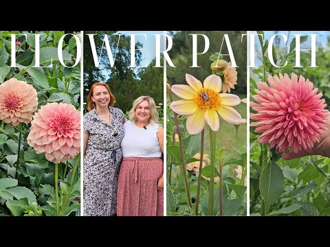 Charming Small Space Backyard Cut Flower Garden: 5 @floretflowerfarm Zinnias & Stunning Dahlias