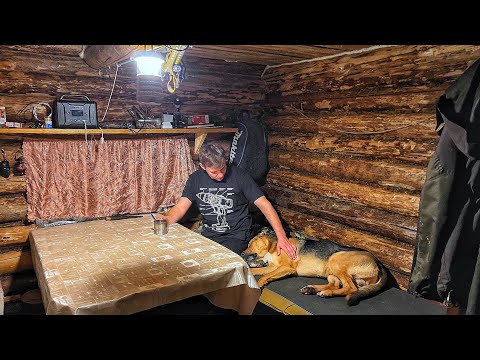 LIVE WITH MY DOG in a taiga LOG CABIN - I made a real GRILL OUT OF WOOD