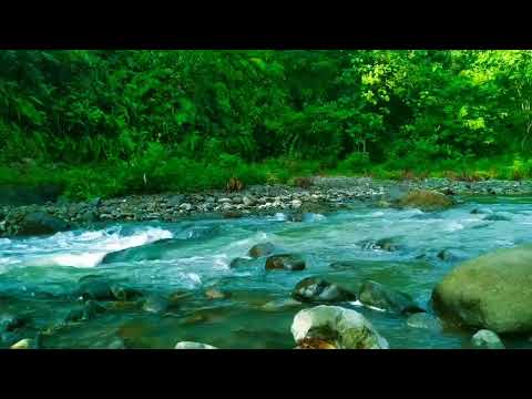 Mountain stream flowing, Forest river stream, Flowing water, white noise for sleeping