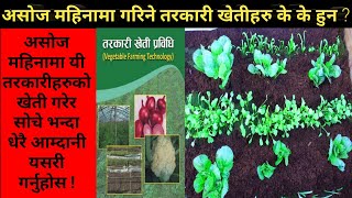 असोज महिनामा लगाउन मिल्ने तरकारीहरू जानि राखौ || How to farming Vegetable in Nepal || Krishi Sandesh