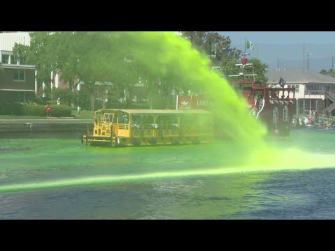 Tampa's River O' Green Festival transforms Hillsborough River into emerald spectacle