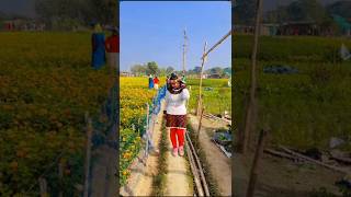 #ক্ষীরাই #khiraiflowervalley #khiraiflowergarden #khirai #sorts #shortsvideo #minivlog #minivlog