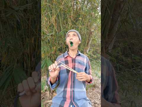 Blend In Bamboo Hideout for Bird Calls #entertainment #birdsounds #shorts #camping #survival