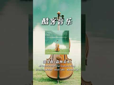 酷客音樂 -流星群 (森林流水)