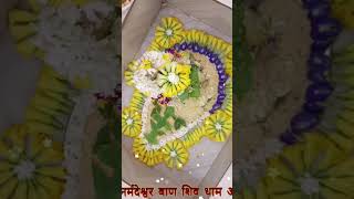 1st Shravan somvar 2024 Shringar Darshan || Shiv Puja || #mahadev