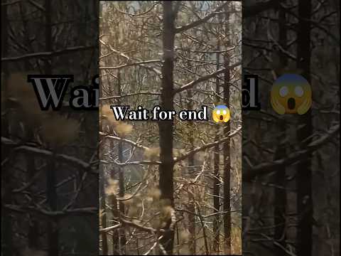 wait for end #shorts#shortvideo#trending