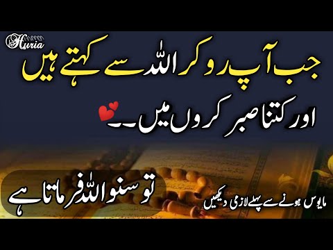 jab aap rote hain to allah farmata hai | best islamic video | patience