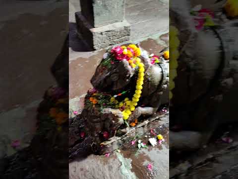 1000 Shal Purana Shiv Mandir | #viral #shorts #shortvideo #mahadev #shiv #rajasthan