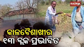 Kalabaisakhi in Mayurbhanj creates havoc with hail storms, 13 blocks affected | Kalinga TV