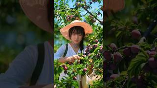 Is there anything more relaxing than picking fruits in summer? #fruit #satisfying #shorts