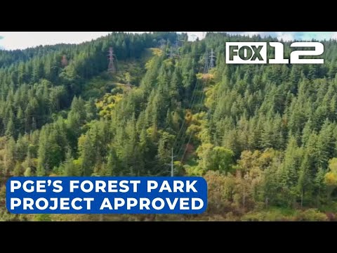 PGE plan to put power lines in Forest Park approved by the city