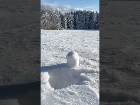 Get hit in the face with a Minionball ⛄️ #satisfying #snow #nature #minions #winter #beautiful #diy