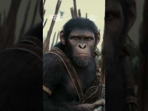 Kingdom of the Planet of the Apes I Hero