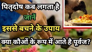 पितृदोष कब लगता है।पितृदोष से मुक्ति के उपाय।pitru paksha2021|pitra dosh ke upay #pitradosh