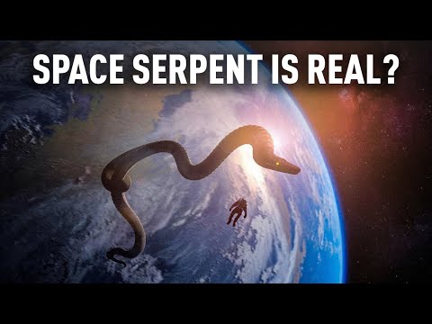 Astronauts Report Shocking Sightings of a Great Space Serpent!