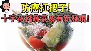 「十字花科菜」又被點名表揚！英國權威：常吃這些蔬菜，預防癌癥不再是夢！