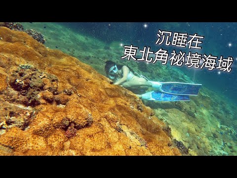 東北角神秘海域/能見度爆棚/魚群超多珊瑚好美/小Su自潛日記/鼻頭角自由潛水/