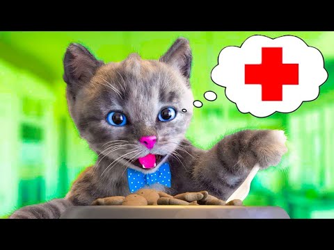 Little Kitten Adventure - Educational Fun for Preschoolers