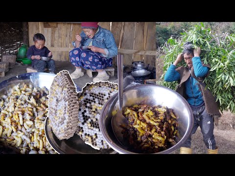 manjita cooks  hornet larva fry and have with son Niyabung Rai || somuhang takes grass || Manjita ||