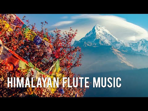 Flute Music | Himalayan Flute Tune No Copyright || No Copyright Vibes