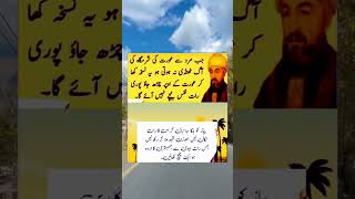 #i4ilam #tiktokfactflowurdu #pti #happy #merahammraz #youtubeshorts #shorts #urdu #ytshortsfeatures