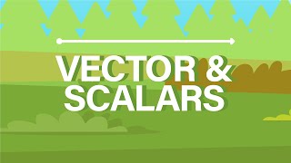 What are Vector and Scalar Quantities?