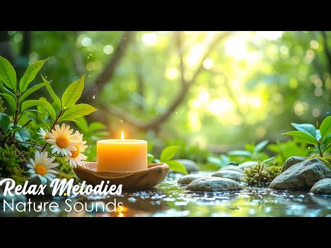 Calming Spa Music that Heals The Body and Comforts The Mind 🌿 Sleep Music, Stress Relief