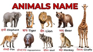 ANIMALS Name | Animals Name with Facts and Pictures | Animals Name For kids