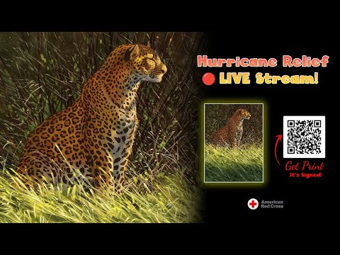 🔴 Live Stream: Supporting Hurricane Helene Victims