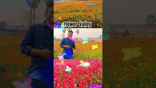 Flower Of Valley Khirai 2025 #shorts #shortfeed #santalivideo #kukmu #trend #khirai